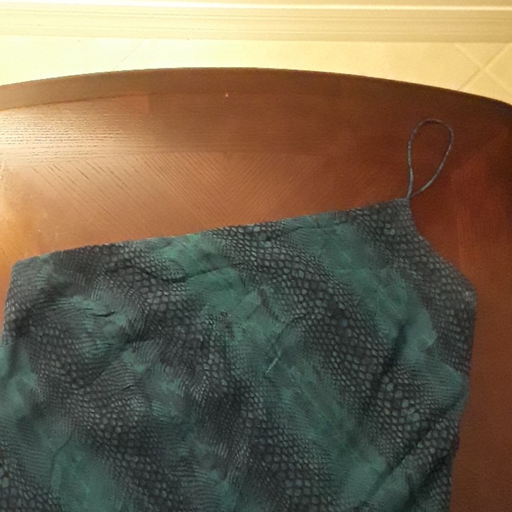 Express Dress - Picture 3 of 6